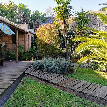 Saltycrax Backpackers And Surf Hostel By Curiocity Bloubergstrand Exterior photo