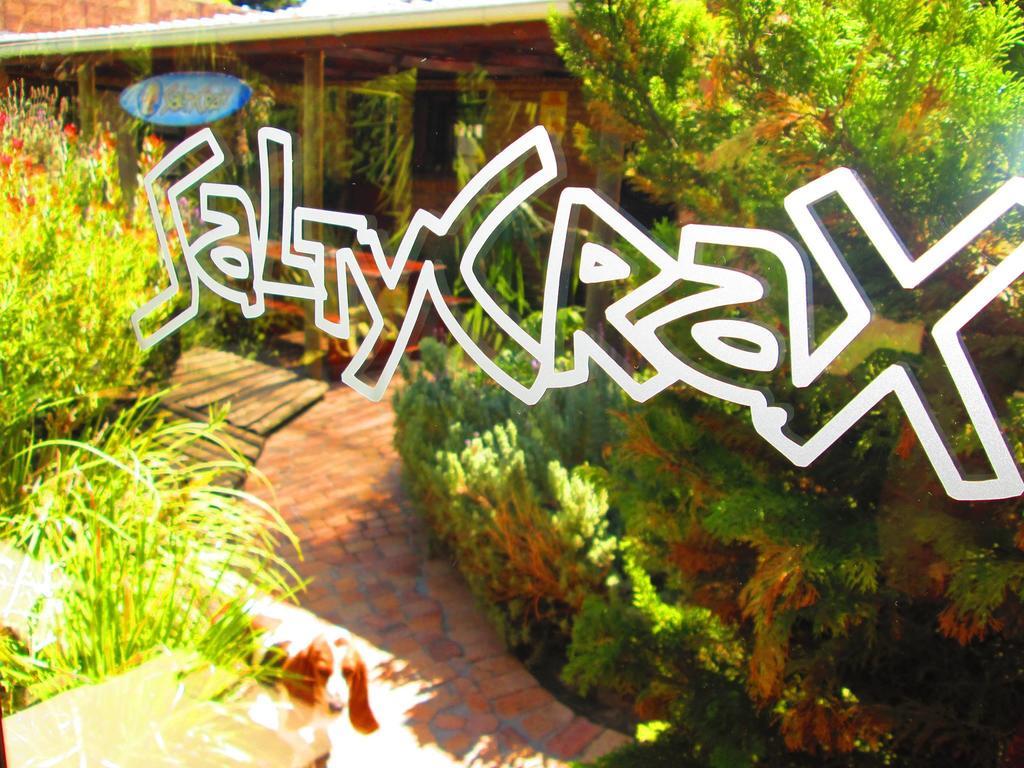 Saltycrax Backpackers And Surf Hostel By Curiocity Bloubergstrand Exterior photo