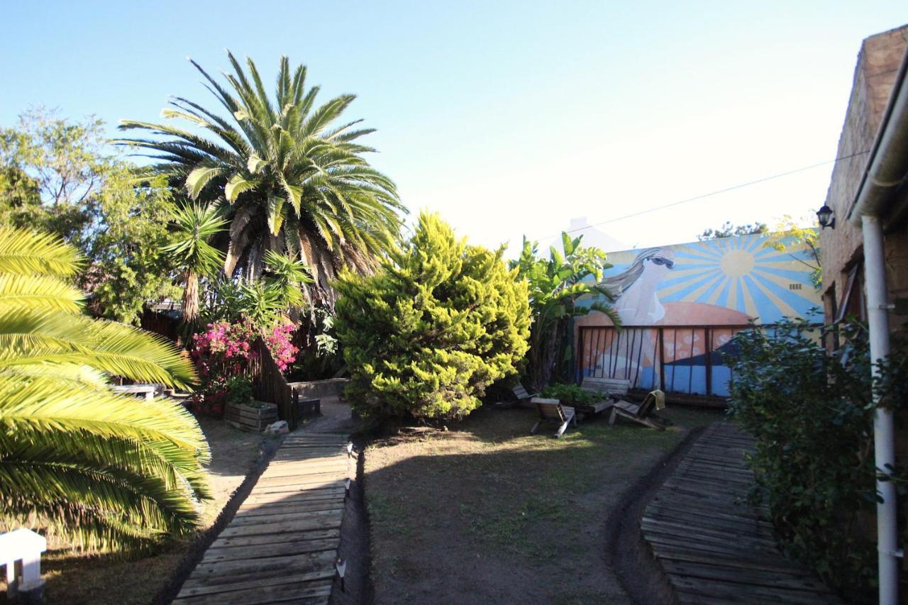Saltycrax Backpackers And Surf Hostel By Curiocity Bloubergstrand Exterior photo