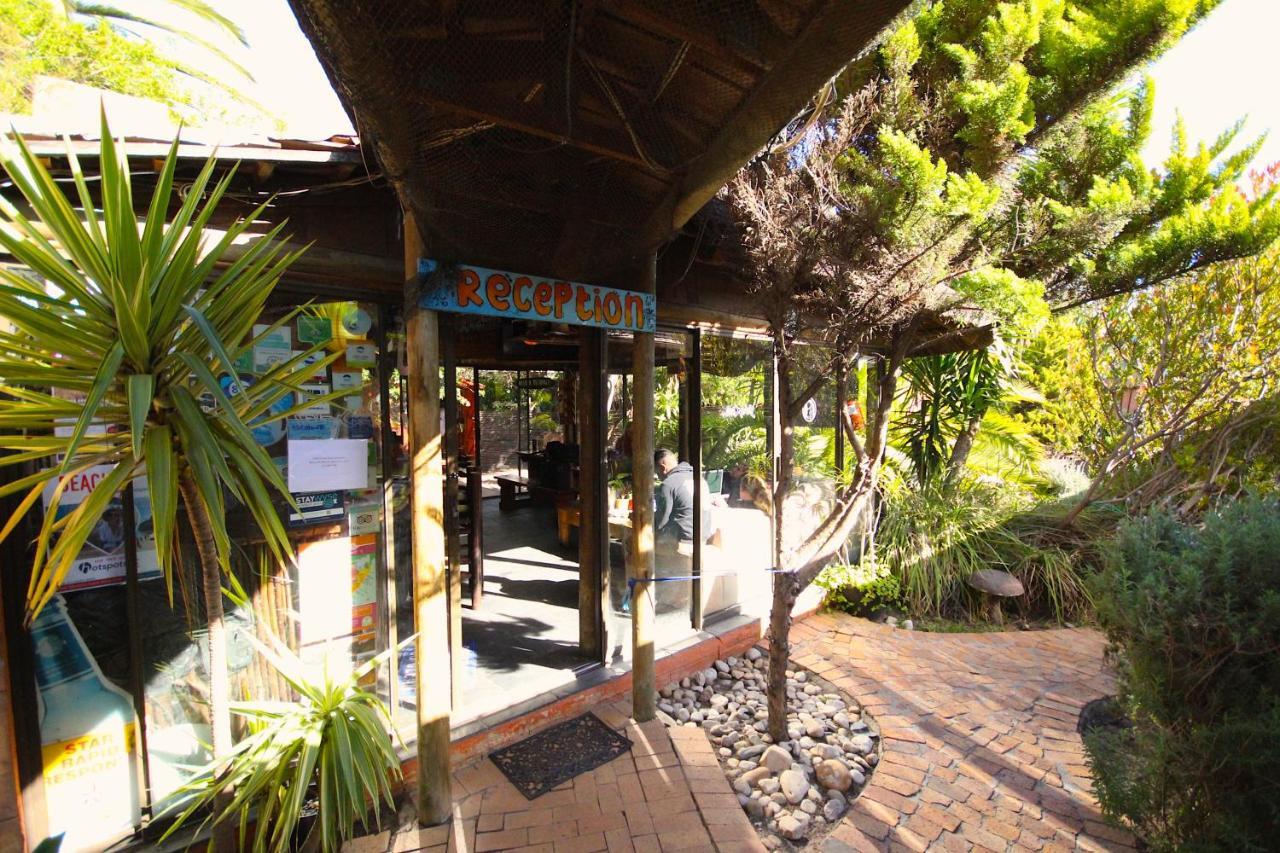 Saltycrax Backpackers And Surf Hostel By Curiocity Bloubergstrand Exterior photo