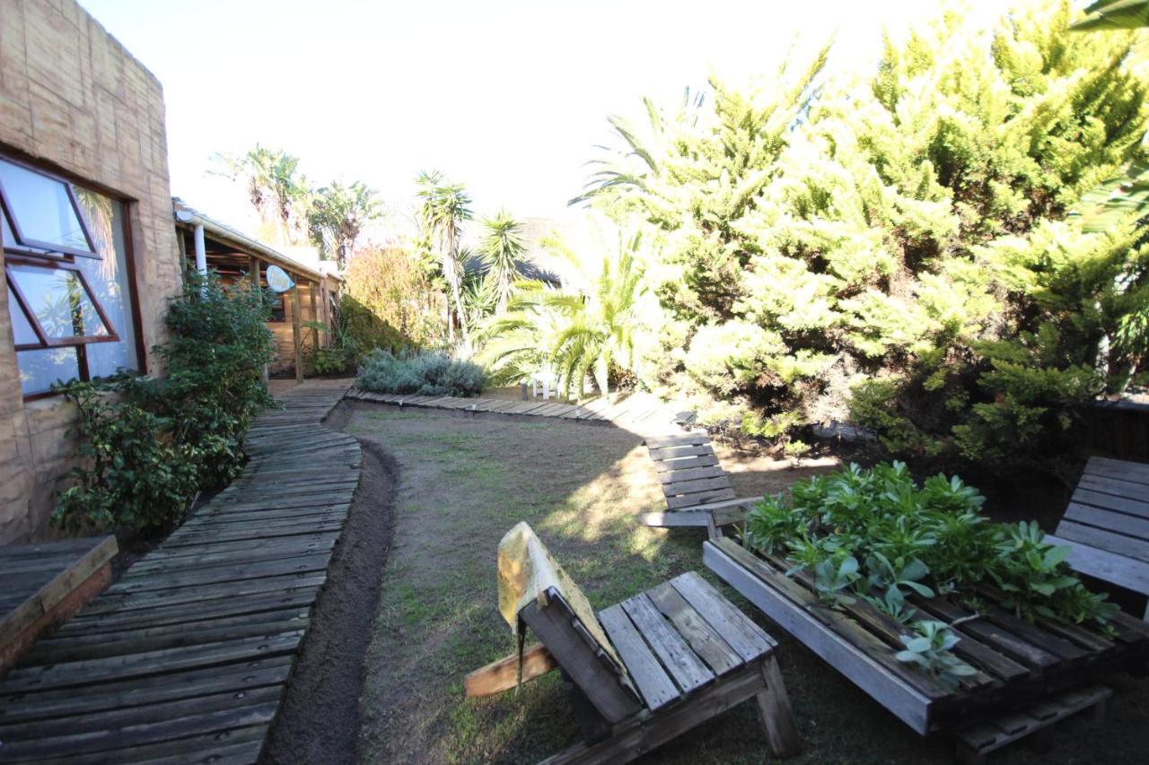 Saltycrax Backpackers And Surf Hostel By Curiocity Bloubergstrand Exterior photo